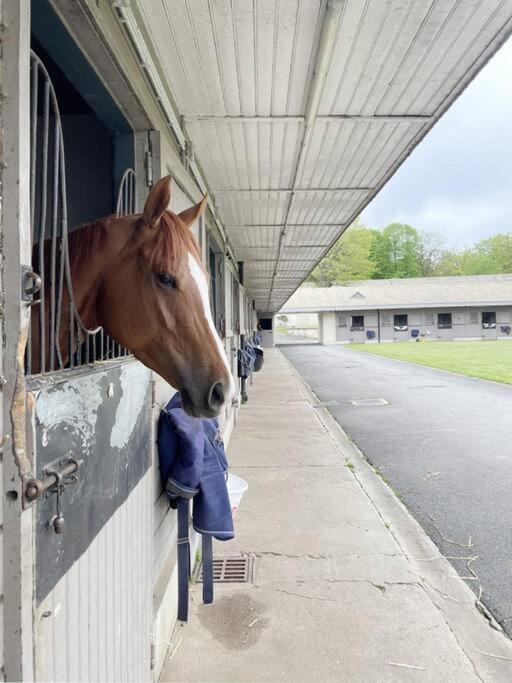 Paddock Prestige By La Boite En Plus Chantilly Exteriör bild